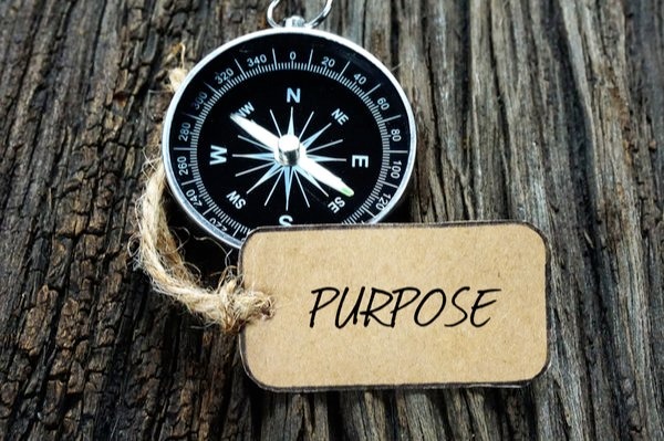 Purpose and Values